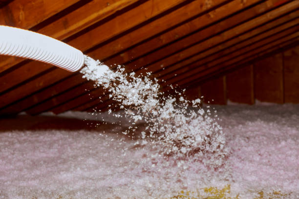 Best Eco-Friendly Insulation in Sarasota, FL