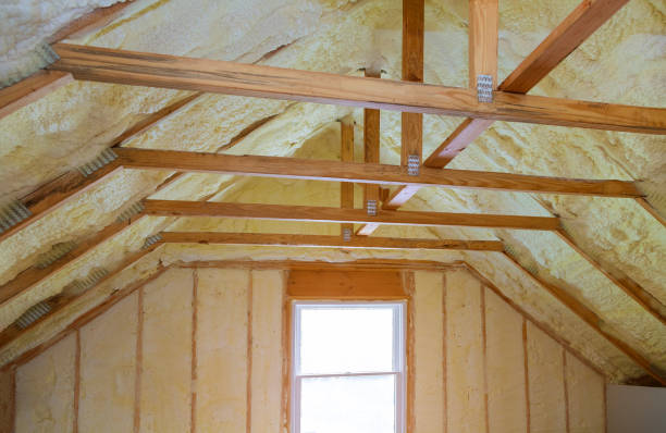 Best Cellulose Insulation in Sarasota, FL