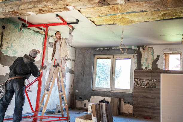 Best Specialized Insulation Services in Sarasota, FL