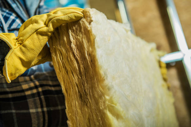 Best Spray Foam Insulation in Sarasota, FL